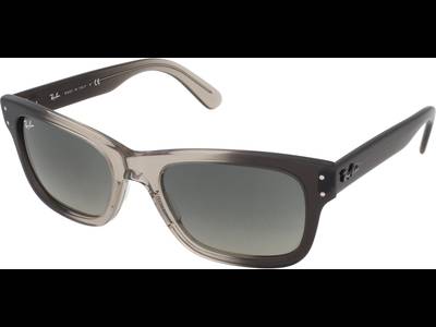 Ray-Ban Mr Burbank RB2283 134071
